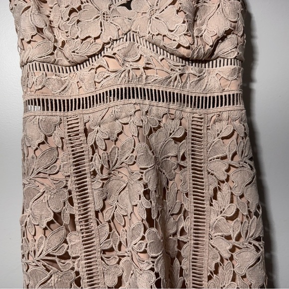 BARDOT Botanica Lace Bodycon Dress Size XS Feminine Wedding Guest Cocktail Dress - Picture 4 of 13